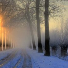 Foto behang winterochtend Holland 0007