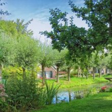 Foto behang Zomer Holland 0170