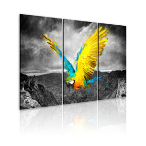 Schilderij - Vogel-van-paradijs