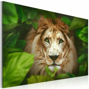 Schilderij - Eyes of the jungle