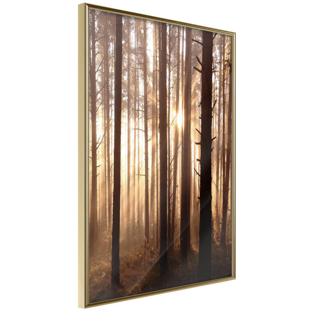 Morning in the Forest - Afbeelding 2