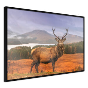 Majestic Deer