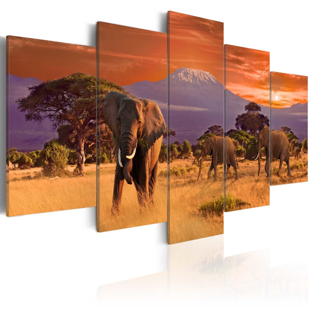 Schilderij - Africa: Elephants