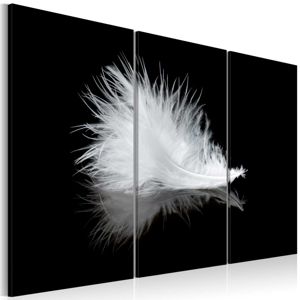 Schilderij - Pluimpje