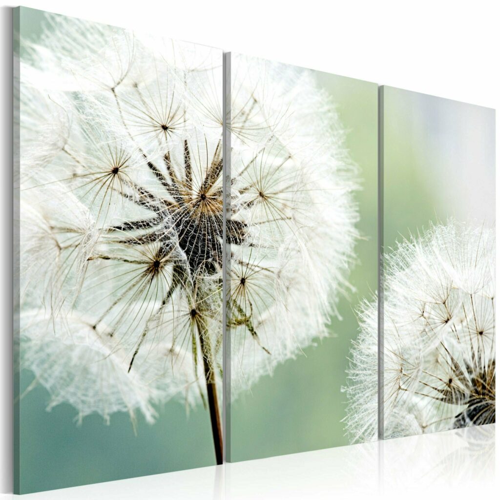 Schilderij - Pluizige paardebloemen
