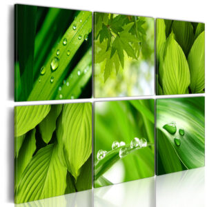 Schilderij - Fresh green leaves