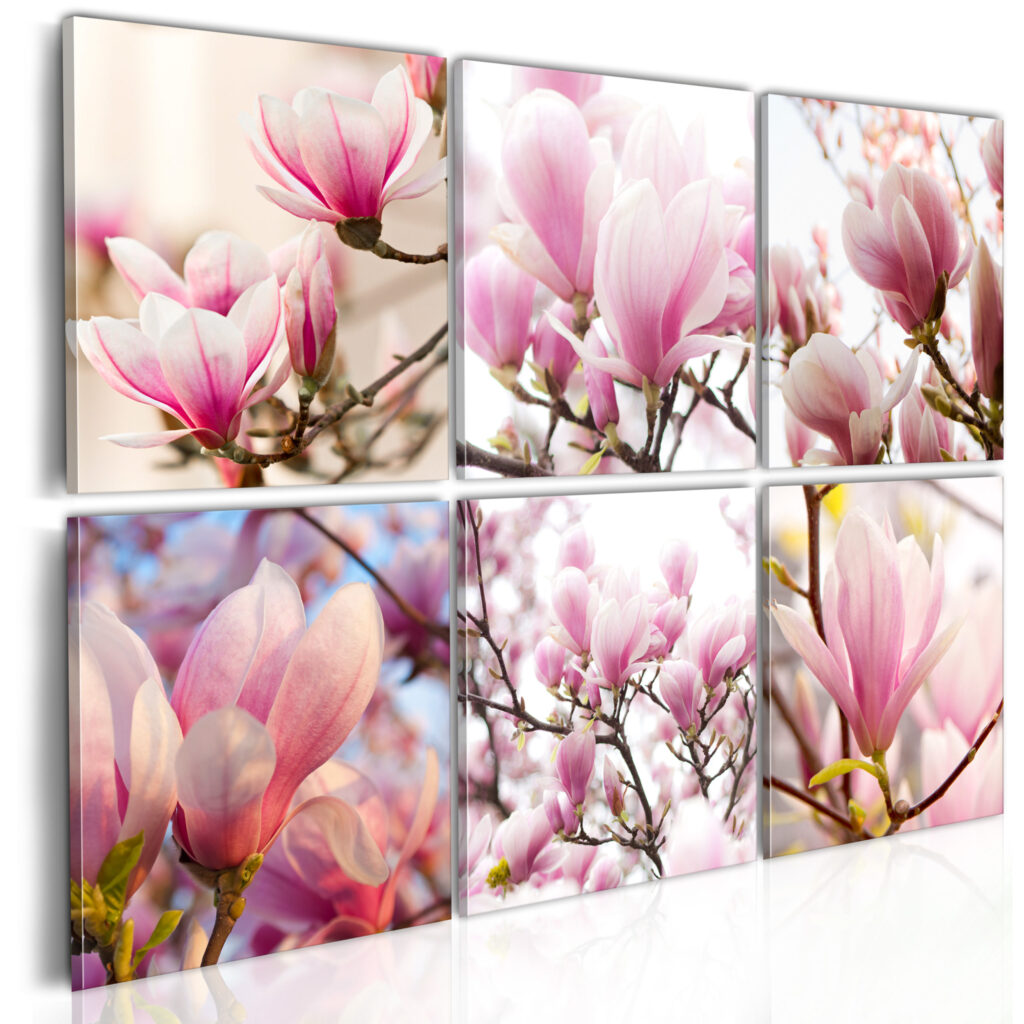 Schilderij - Southern magnolias