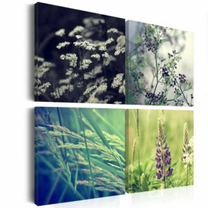 Schilderij - Magical veld