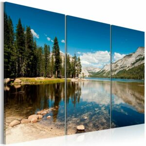 Schilderij - Mountains, trees and pure lake