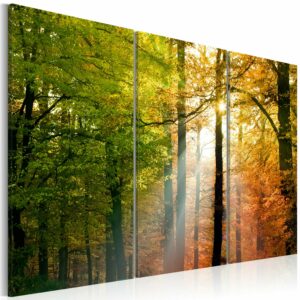 Schilderij - Stil herfstbos