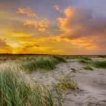 Foto behang Duinen Holland 0356