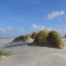 Foto behang Duinen Holland 0477