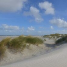 Foto behang Duinen Holland 0510