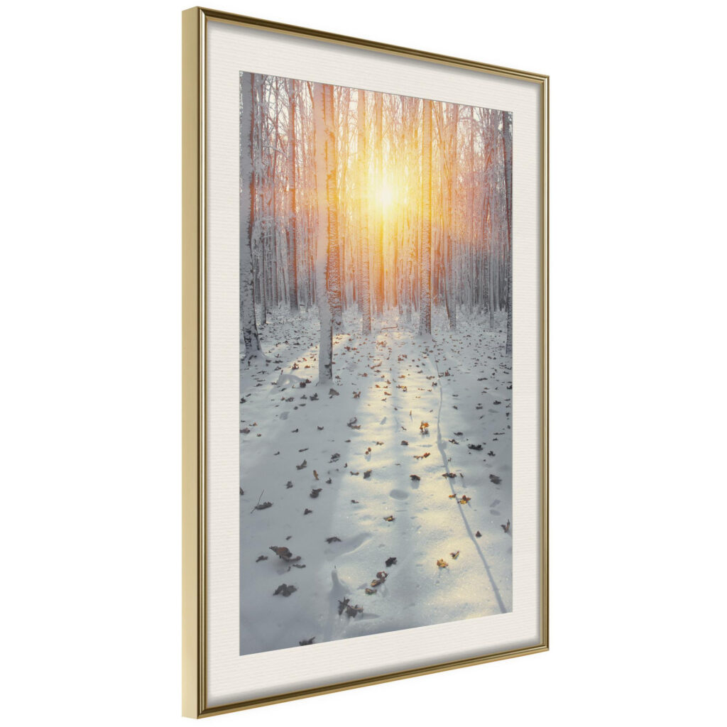 Frosty Sunset