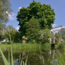Foto behang Naardermeer bruggetje Holland 0937