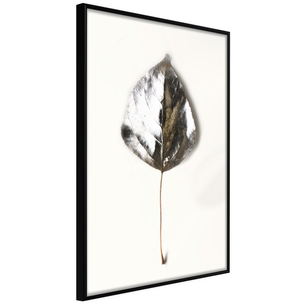 Silvery Leaf