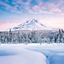 Foto behang Mountain Graceful 00124