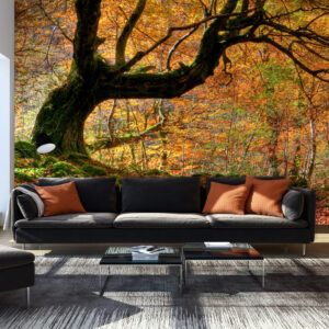 Fotobehang - Herfst, bos en bladeren