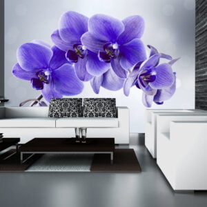 Orchideeën