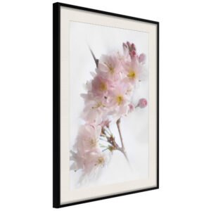 Scent of Spring