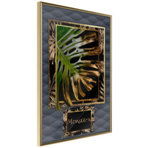 Monstera in the Frame