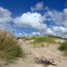 Foto behang Duinlandschap Holland 1434