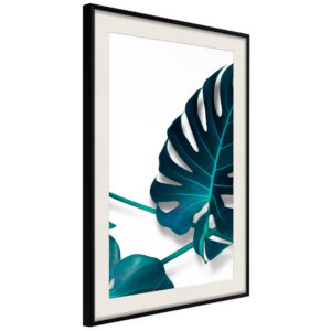 Turquoise Monstera I