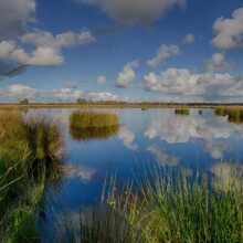 Foto behang Dwingelderveld Holland 1797