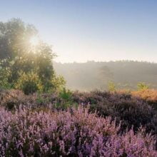 Foto behang Zonsopgang Holland 1823