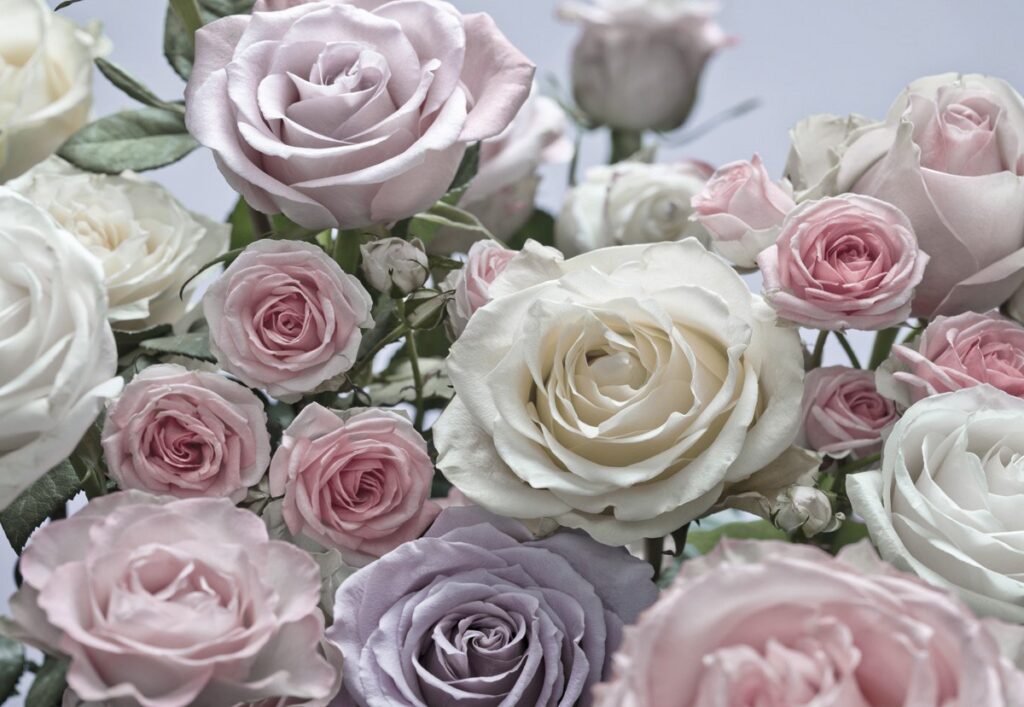 Foto behang Floraison 8-736