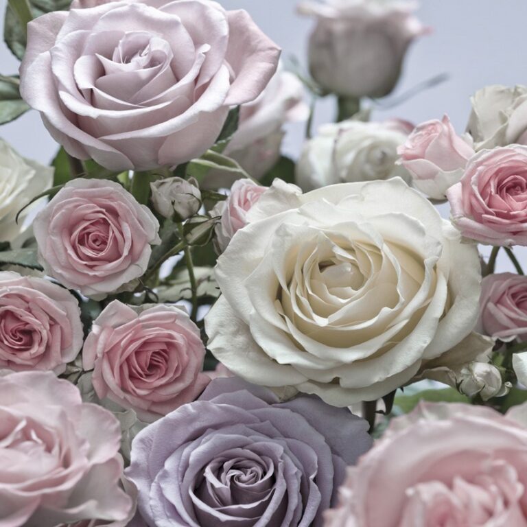 Foto behang Floraison 8-736