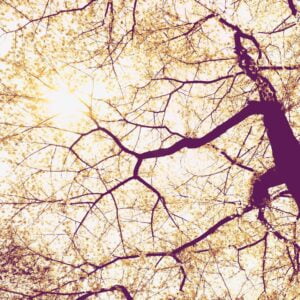 Foto behang Sunshine V5-752