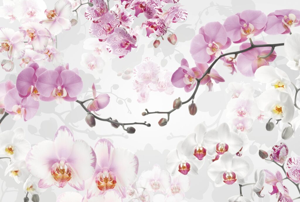 Foto behang Allure xxl4-032