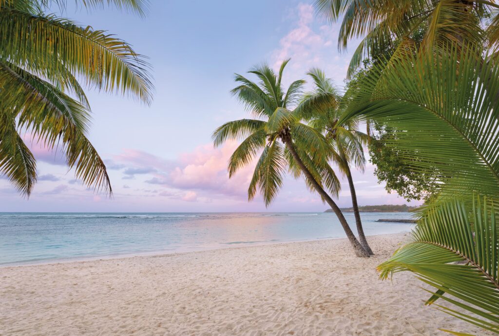 Foto behang Paradise Morning xxl4-528