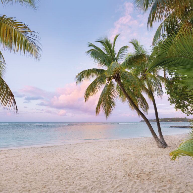 Foto behang Paradise Morning xxl4-528