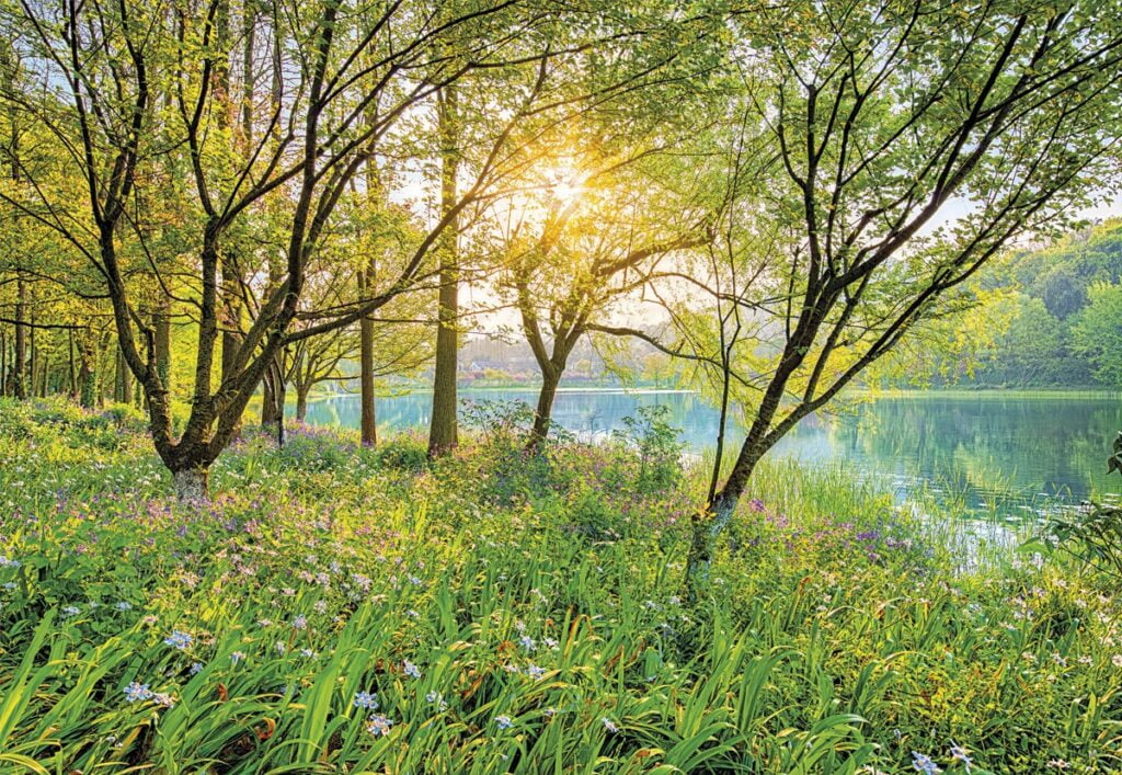 Foto behang Spring Lake 8-524