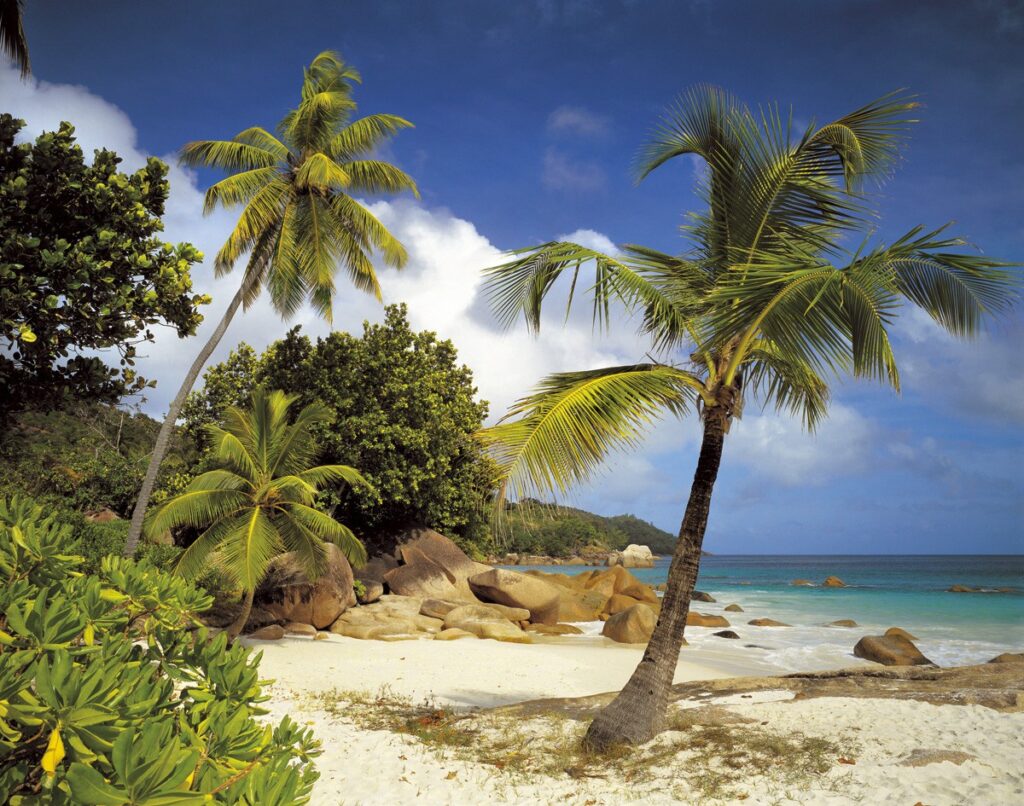 Foto behang Praslin 8-885