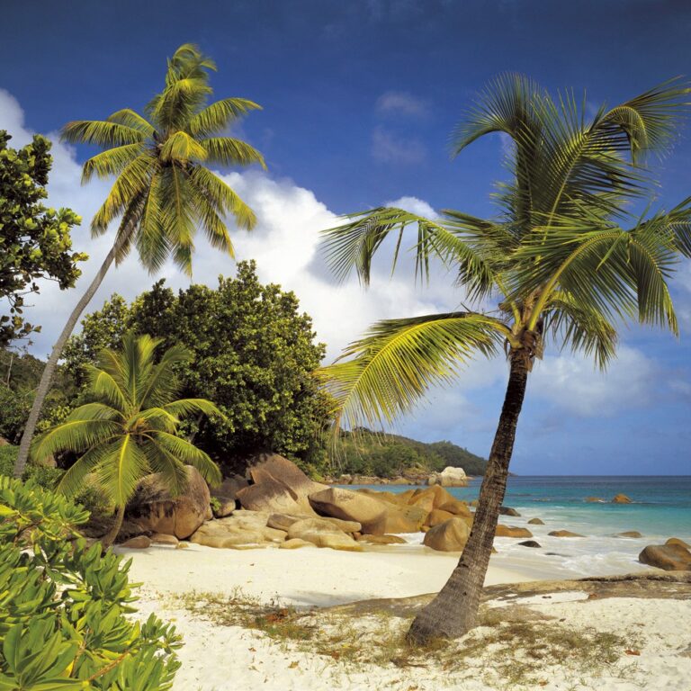 Foto behang Praslin 8-885