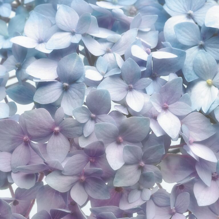 Foto behang Light Blue 8-961