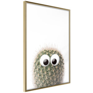 Funny Cactus II
