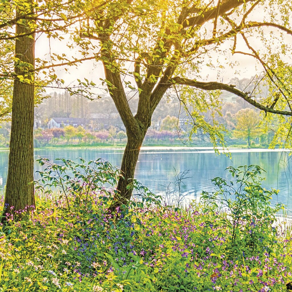 Foto behang Spring Lake 8-524 - Afbeelding 3