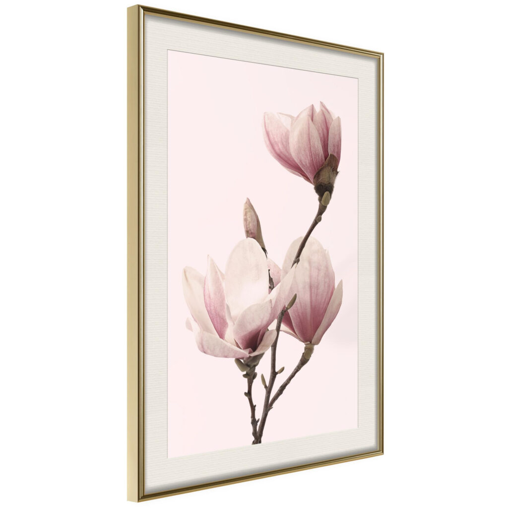 Blooming Magnolias III - Afbeelding 2