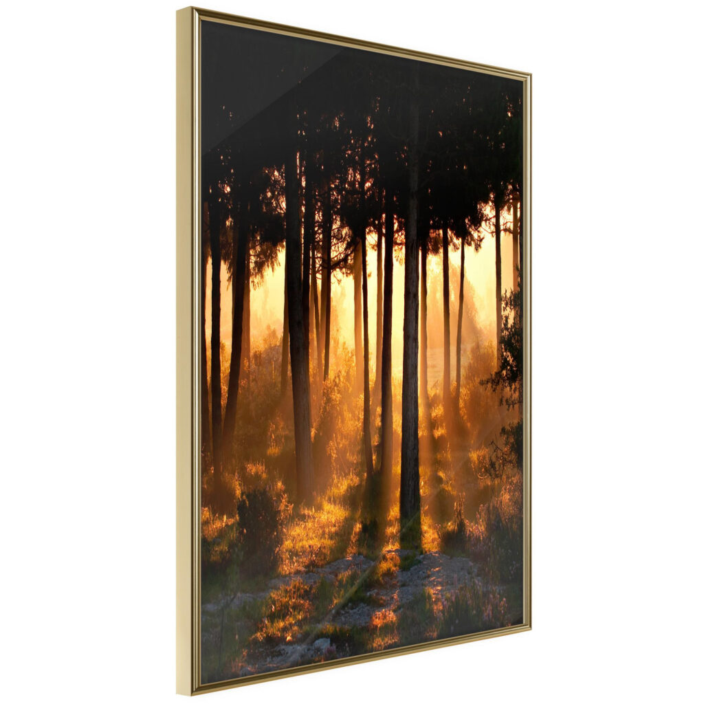 Dark Tree Tops - Afbeelding 2