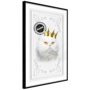 Cat Rules II