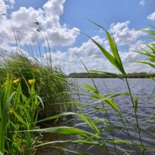 Foto behang Eemland Holland 2268