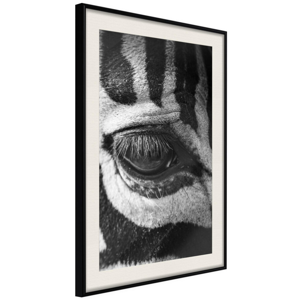 Zebra Is Watching You - Afbeelding 2