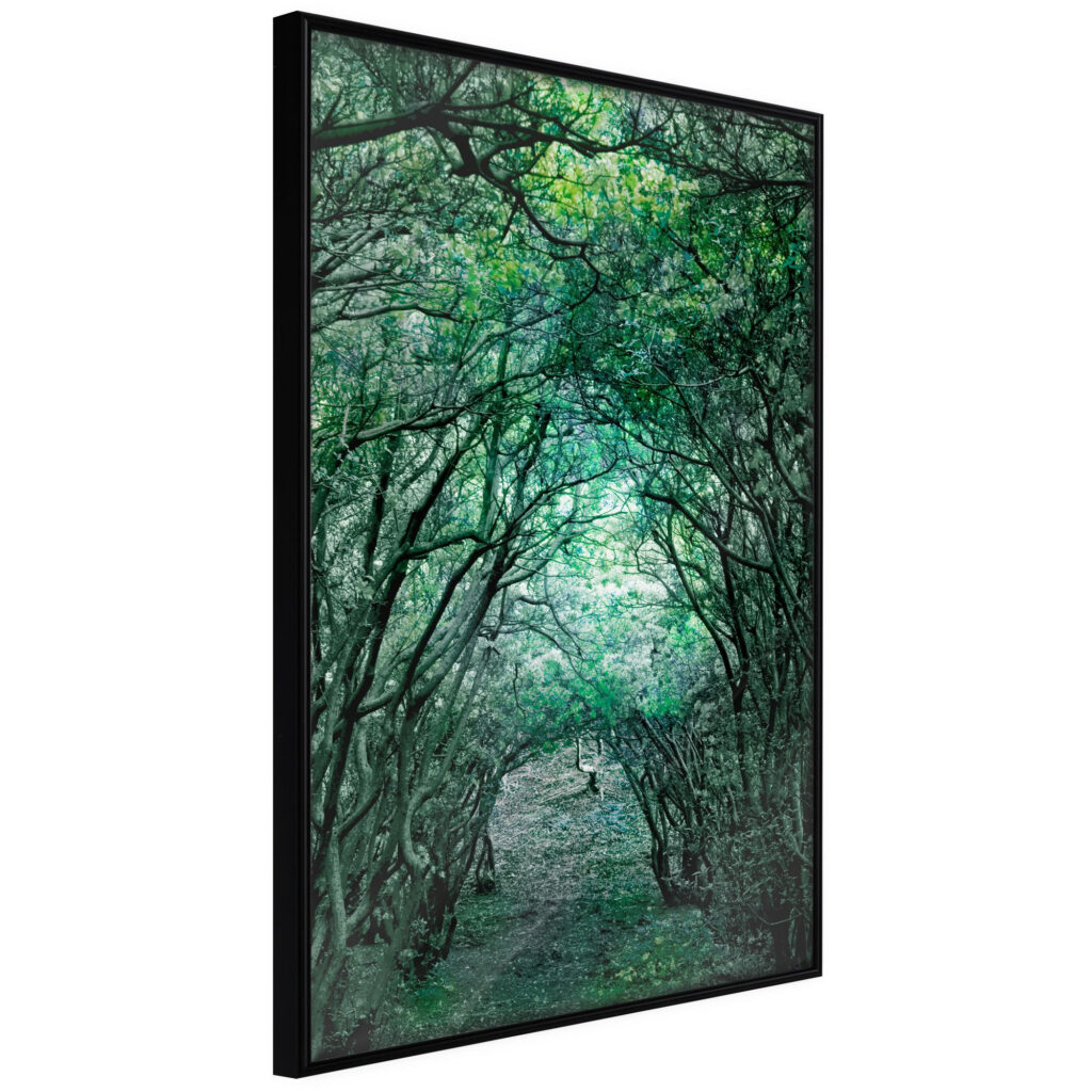 Tree Tunnel