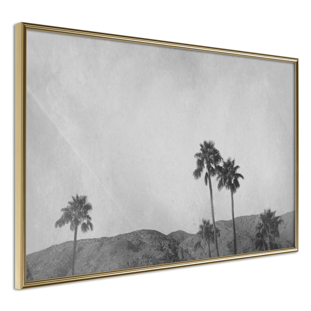 Sky of California - Afbeelding 2