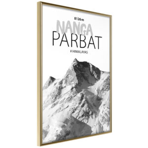 Peaks of the World: Nanga Parbat