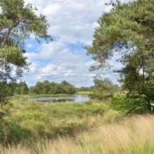 Foto behang Dommeldal Holland 2864